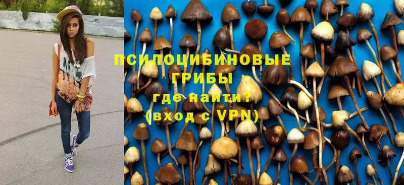 где можно купить   Уссурийск  Галлюциногенные грибы MAGIC MUSHROOMS 